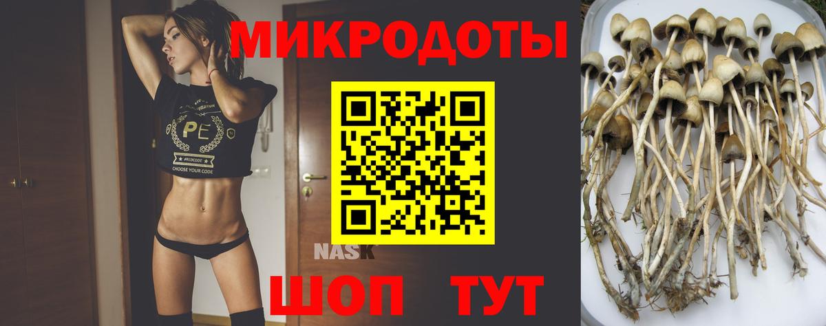 Стерлитамак  Галлюциногенные грибы мицелий  Галлюциногенные грибы мухоморы  Вход с VPN 